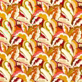 Velours Calathea
