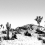 Papier peint panoramique Arizona Edito Noir/Blanc PP1N