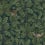 Papier peint In the Oak Borastapeter Dark green 2050