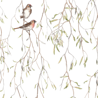 Papier peint panoramique Spring Birds