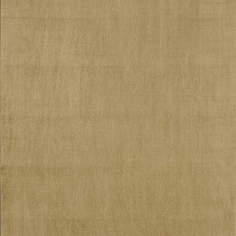 Terciopelo Wisen