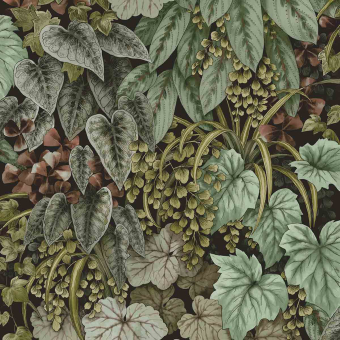 Plante Life Wallpaper