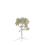 Carta da parati panoramica Arbustes grigio Isidore Leroy 150x330 cm - 3 lés - Partie B 6248312 - Mimosa