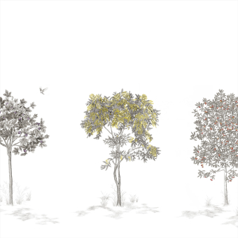 Papier peint panoramique Arbustes Gris 150x330 cm - 3 lés - Partie A Isidore Leroy