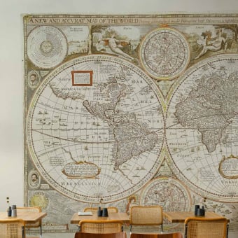 Historical Map Silk Panel