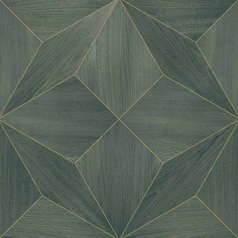 Papel pintado Bois Polar Star