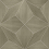 Polar Star wood Wallpaper Coordonné Silver A00428