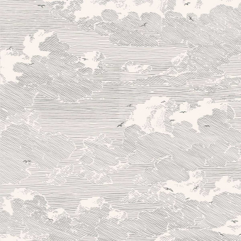 Papel pintado Feathery Clouds