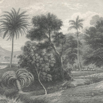 Jungle Land Panel