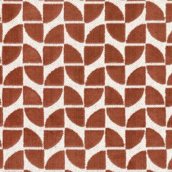 Velours Oca
