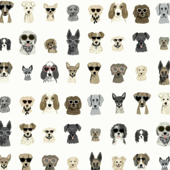 Dog Days adhesive wallpaper