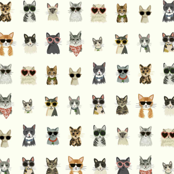 Carta da parati adhésif Cool Cats