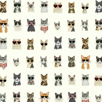 Papel pintado adhésif Cool Cats