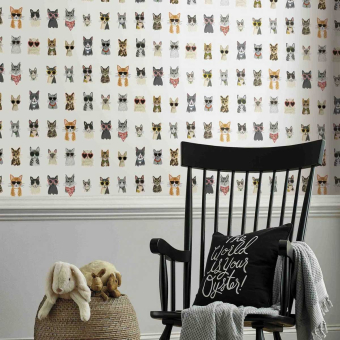 Papier peint adhésif Cool Cats