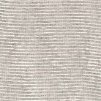 Velo Mondaine