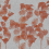 Papier peint panoramique Diaphanus Wall&decò Sanguine WDDI2202