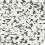 Capiz Offering Wallpaper York Wallcoverings Black/White CC1201