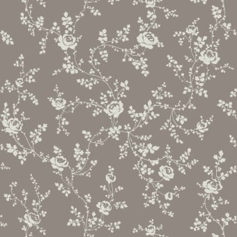 Papier peint Rose Blanche