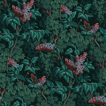 Rose Lilas Wallpaper