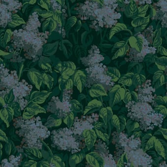 Lilas Bleu Wallpaper