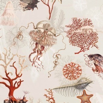 Corail Wallpaper