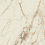 Macchia Vecchia square Porcelain stoneware Cotto d'Este Macchia Vecchia glossy EK8VA35