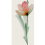 Grès cérame Wonderwall Fleur grande dalle Cotto d'Este Fiore A EK9WP4A