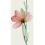 Grès cérame Wonderwall Fleur grande dalle Cotto d'Este Fiore B EK9WP4B