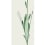 Gres porcelánico Wonderwall Fleur grande dalle Cotto d'Este Fiore C EK9WP4C