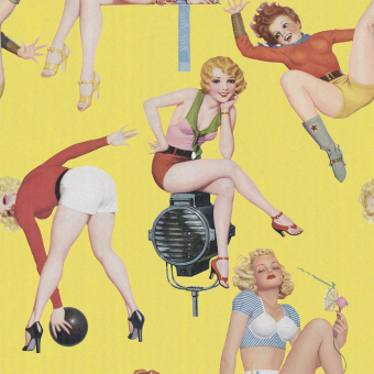 Pin-up Girls Panel