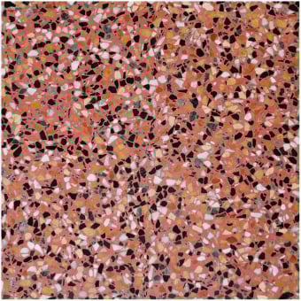 Piastrella terrazzo Aganippe 10