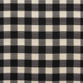 Stoff Horsehair Check