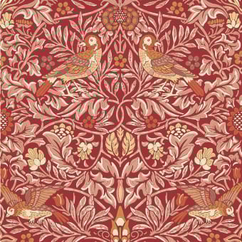 Carta da parati Bird