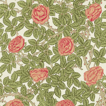 Rambling Rose Wallpaper