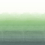 Carta da parati panoramica Shoshi Designers Guild Jade PDG1163/03
