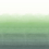 Papier peint panoramique Shoshi Designers Guild Jade PDG1163/03