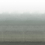 Papier peint panoramique Shoshi Designers Guild Graphite PDG1163/04