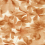 Papier peint Grounded Harlequin Baked Terracotta/Parchment HC4W113007