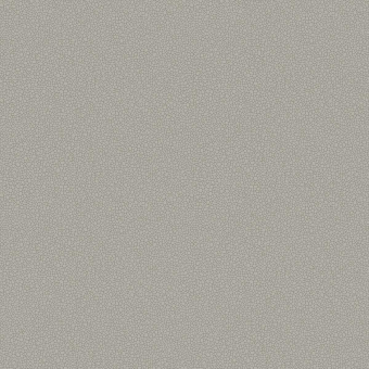 Papier peint Pebble