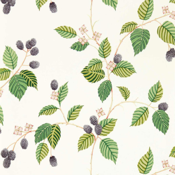 Rubus Wallpaper