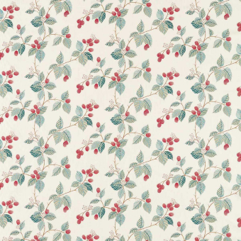 Tela Rubus