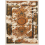 Tapis Shangri La Yo2 Orange TI3.01.2-FOLLY SOFT-200x300