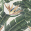 Papeles pintados panorámico Tropical Bloom Mindthegap Green/Orange/Beige WP20096
