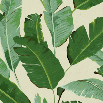 Papeles pintados panorámico Banana Leaves