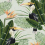 Carta da parati panoramica Birds of Paradise Mindthegap Green/Orange/Black WP20092