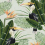 Panoramatapete Birds of Paradise Mindthegap Green/Orange/Black WP20092