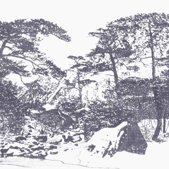 Papier peint panoramique Ginkesai