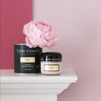 Peinture Rose Intelligent Matt
