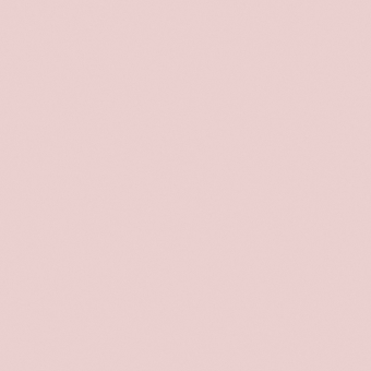 Vernice rosa Intelligent Eggshell