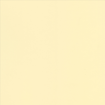 Yellow Matt selection Paint